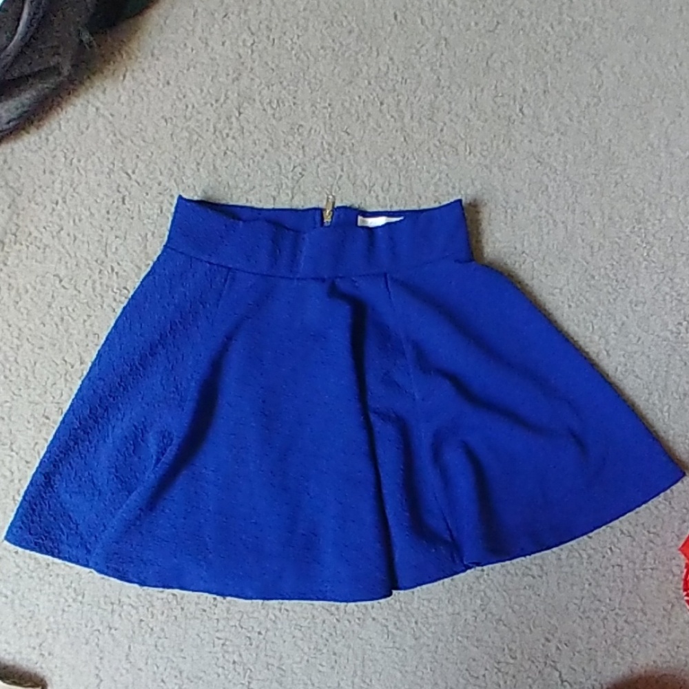 Blue Violet Skirt